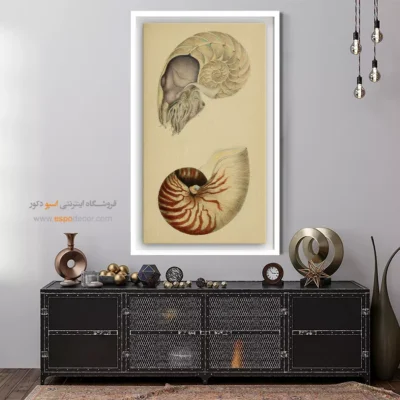 تابلو جانوران دریایی - اسپو دکور