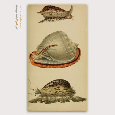 تابلو جانوران دریایی - اسپو دکور