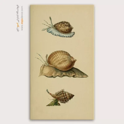 تابلو جانوران دریایی - اسپو دکور