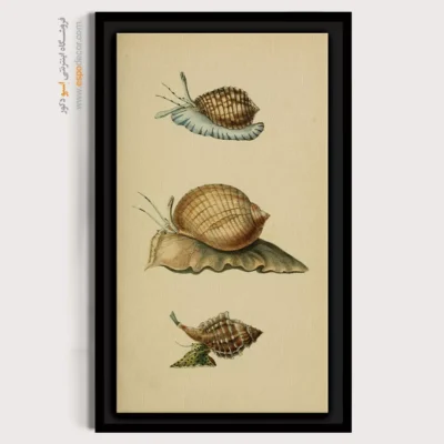 تابلو جانوران دریایی - اسپو دکور