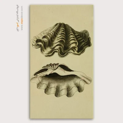 تابلو جانوران دریایی - اسپو دکور