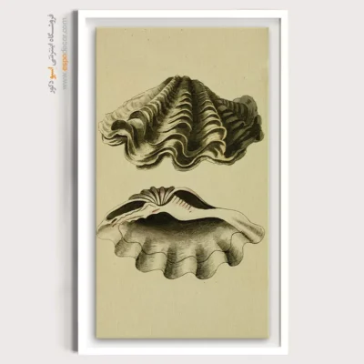 تابلو جانوران دریایی - اسپو دکور