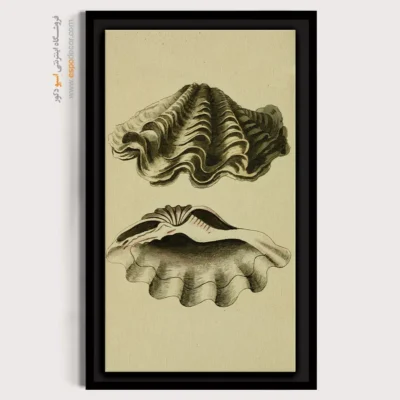 تابلو جانوران دریایی - اسپو دکور