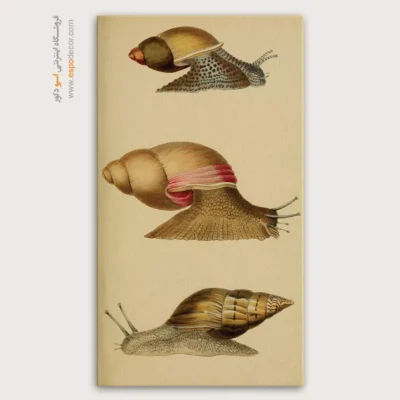 تابلو جانوران دریایی - اسپو دکور