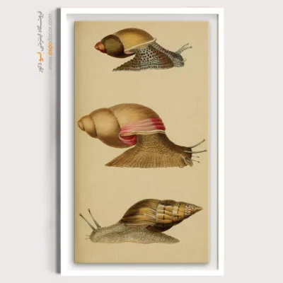 تابلو جانوران دریایی - اسپو دکور