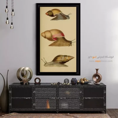 تابلو جانوران دریایی - اسپو دکور