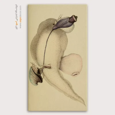 تابلو جانوران دریایی - اسپو دکور