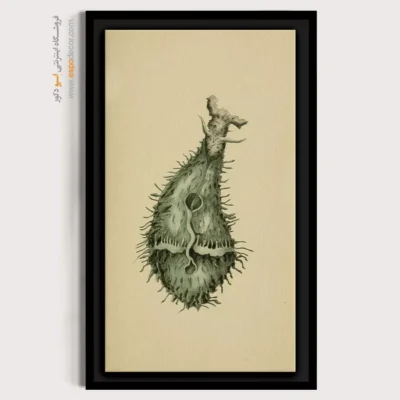 تابلو جانوران دریایی - اسپو دکور