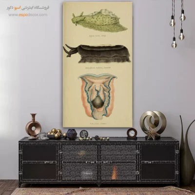 تابلو جانوران دریایی - اسپو دکور