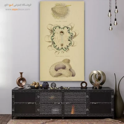 تابلو جانوران دریایی - اسپو دکور