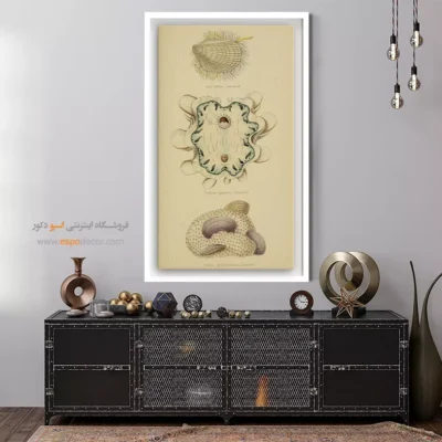 تابلو جانوران دریایی - اسپو دکور