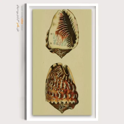 تابلو جانوران دریایی - اسپو دکور