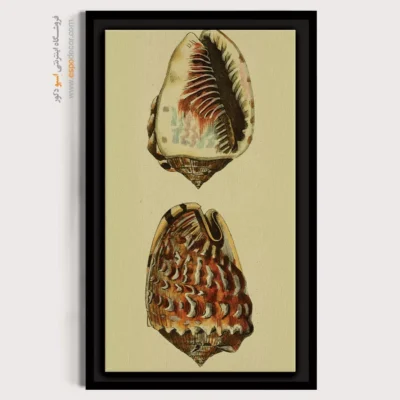 تابلو جانوران دریایی - اسپو دکور