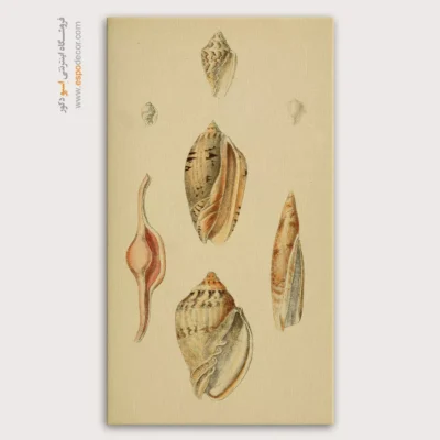 تابلو جانوران دریایی - اسپو دکور