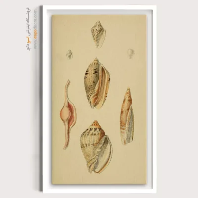 تابلو جانوران دریایی - اسپو دکور