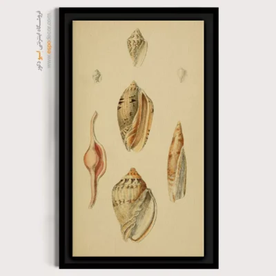 تابلو جانوران دریایی - اسپو دکور