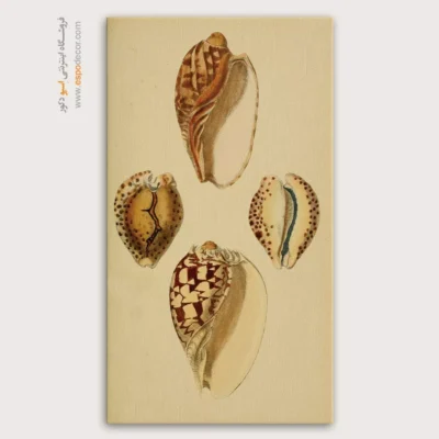 تابلو جانوران دریایی - اسپو دکور