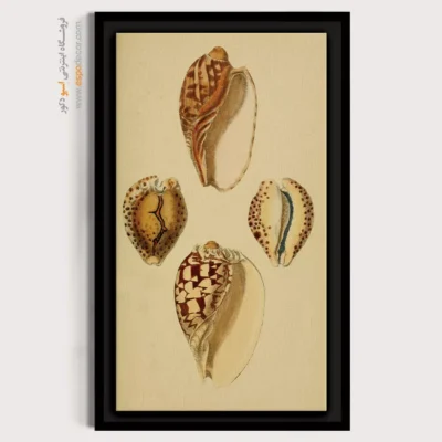 تابلو جانوران دریایی - اسپو دکور