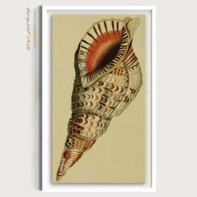 تابلو جانوران دریایی - اسپو دکور