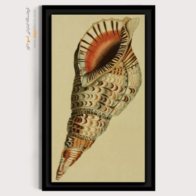 تابلو جانوران دریایی - اسپو دکور