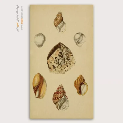 تابلو جانوران دریایی - اسپو دکور