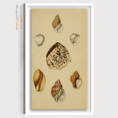 تابلو جانوران دریایی - اسپو دکور