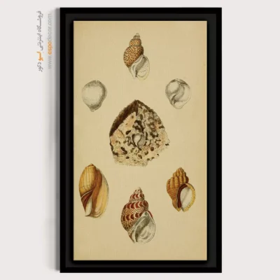 تابلو جانوران دریایی - اسپو دکور