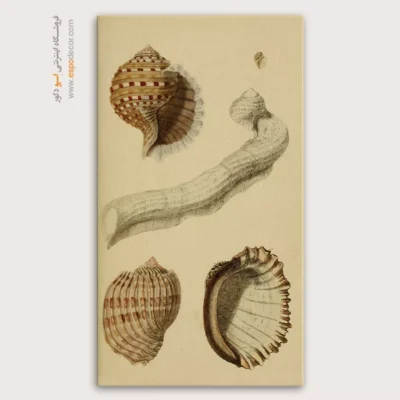 تابلو جانوران دریایی - اسپو دکور