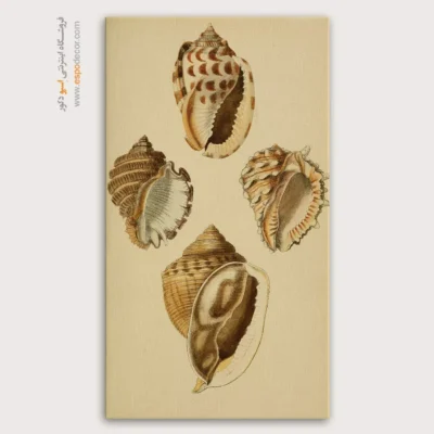 تابلو جانوران دریایی - اسپو دکور