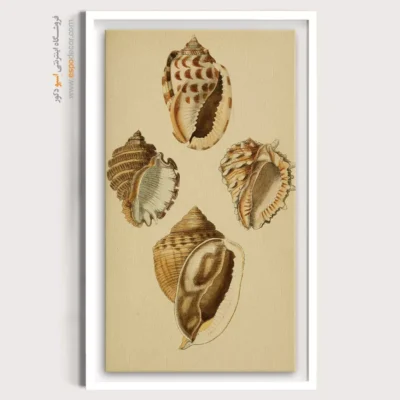 تابلو جانوران دریایی - اسپو دکور