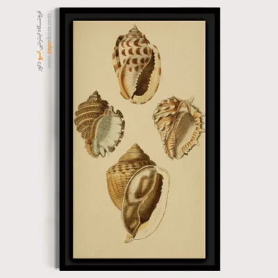 تابلو جانوران دریایی - اسپو دکور