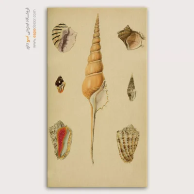 تابلو جانوران دریایی - اسپو دکور