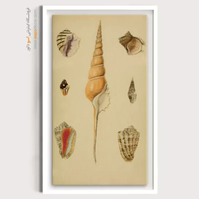 تابلو جانوران دریایی - اسپو دکور