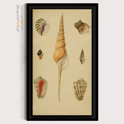 تابلو جانوران دریایی - اسپو دکور