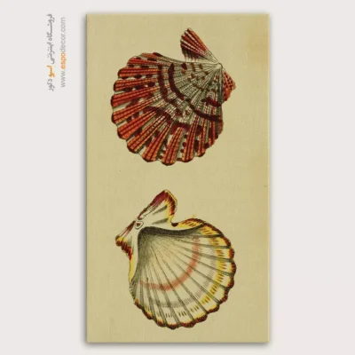 تابلو جانوران دریایی - اسپو دکور