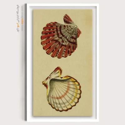 تابلو جانوران دریایی - اسپو دکور