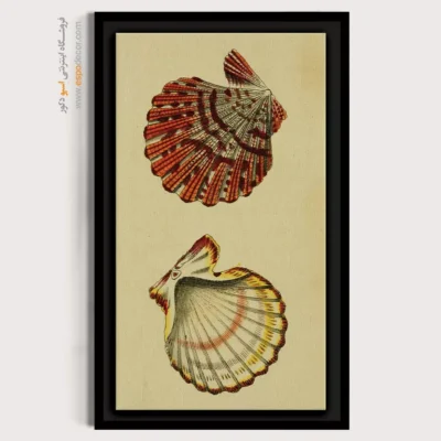 تابلو جانوران دریایی - اسپو دکور