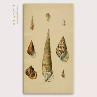 تابلو جانوران دریایی - اسپو دکور