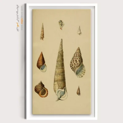 تابلو جانوران دریایی - اسپو دکور