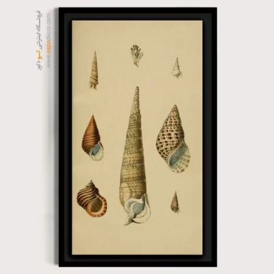 تابلو جانوران دریایی - اسپو دکور