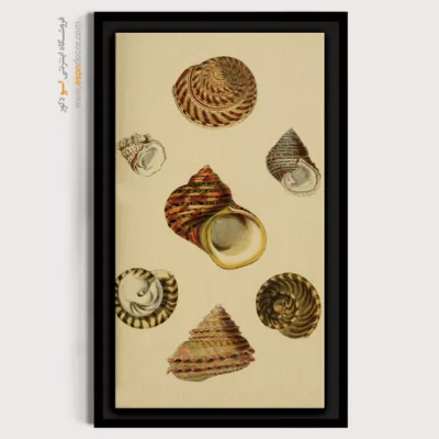 تابلو جانوران دریایی - اسپو دکور