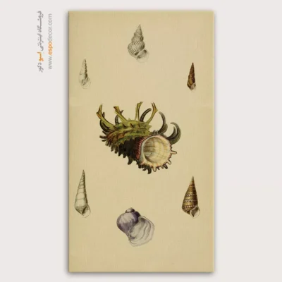 تابلو جانوران دریایی - اسپو دکور