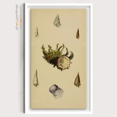 تابلو جانوران دریایی - اسپو دکور