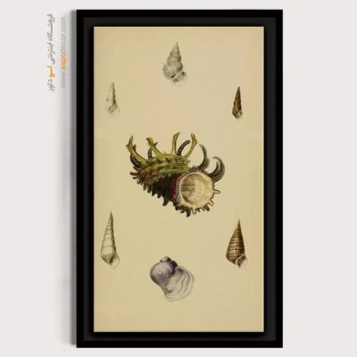 تابلو جانوران دریایی - اسپو دکور