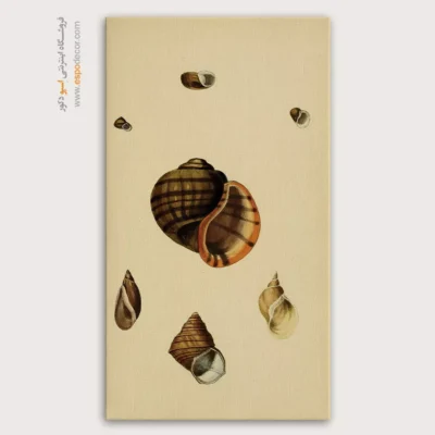 تابلو جانوران دریایی - اسپو دکور