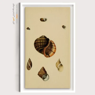 تابلو جانوران دریایی - اسپو دکور