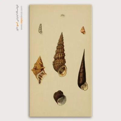 تابلو جانوران دریایی - اسپو دکور