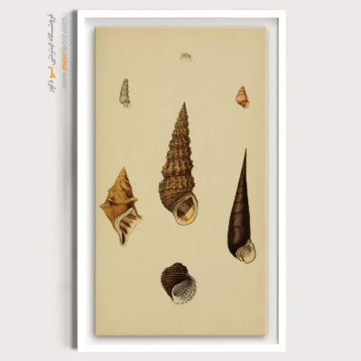 تابلو جانوران دریایی - اسپو دکور