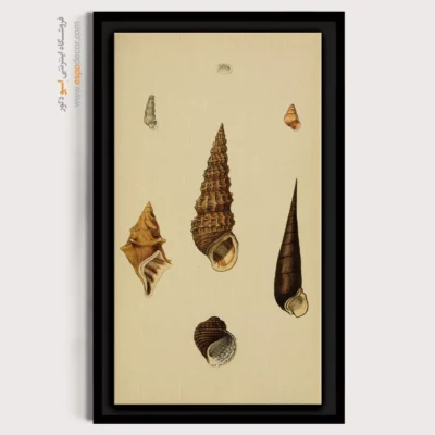 تابلو جانوران دریایی - اسپو دکور