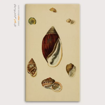 تابلو جانوران دریایی - اسپو دکور